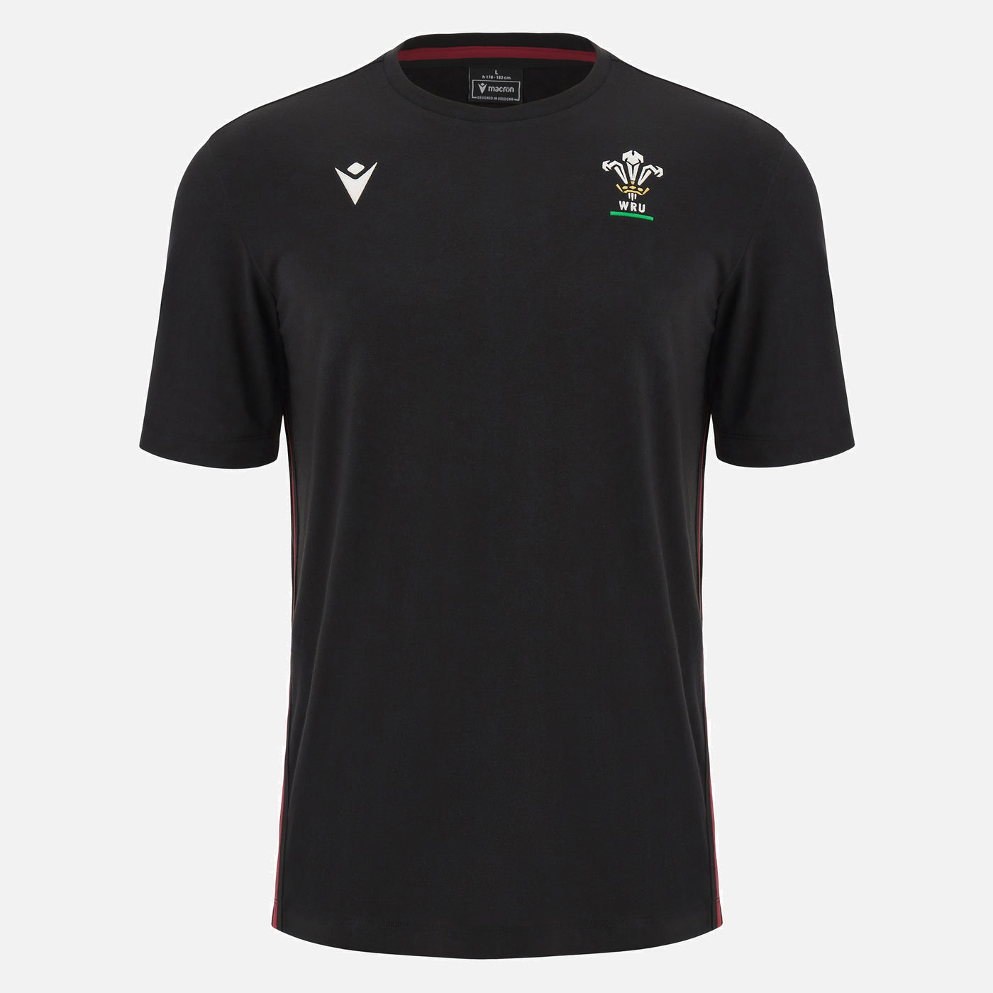 T-shirt Pays de Galles Rugby 2023/24 Homme