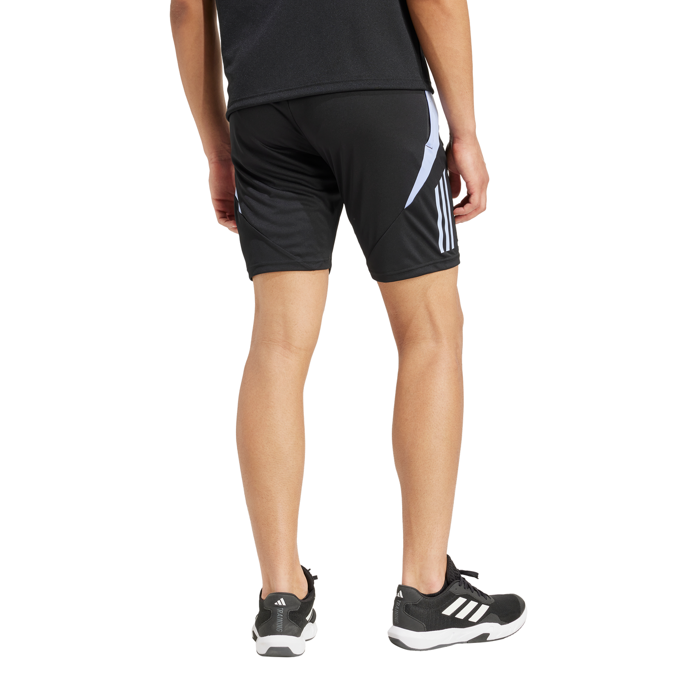 All Blacks Rugby Gymshort Blue Spark