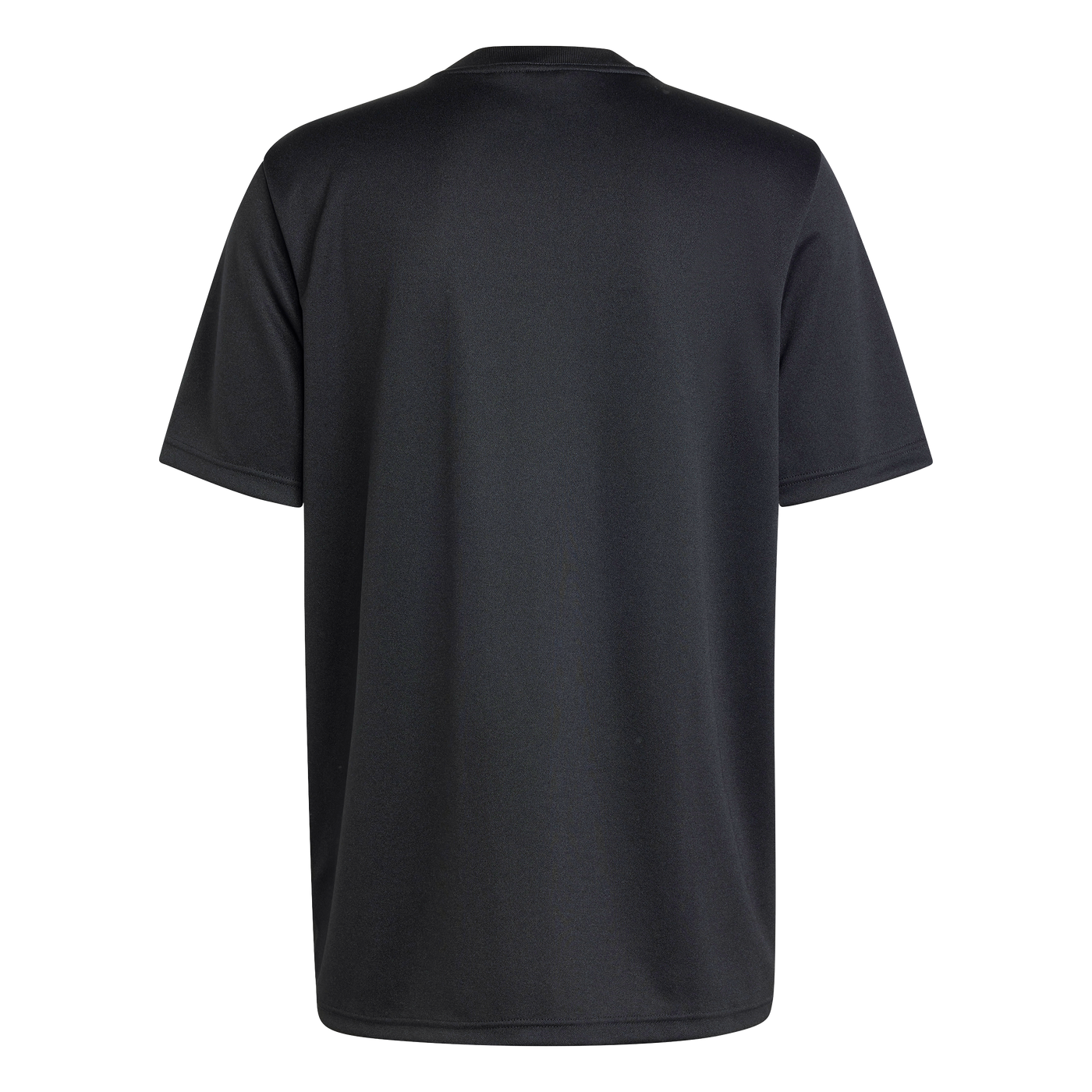 All Blacks AEROREADY Rugby Supporter T-shirt Heren