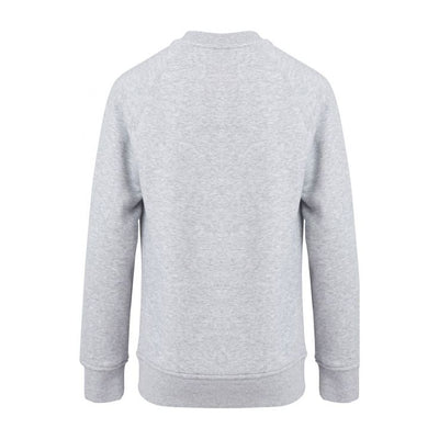 Canterbury Ierland Sweater Grijs