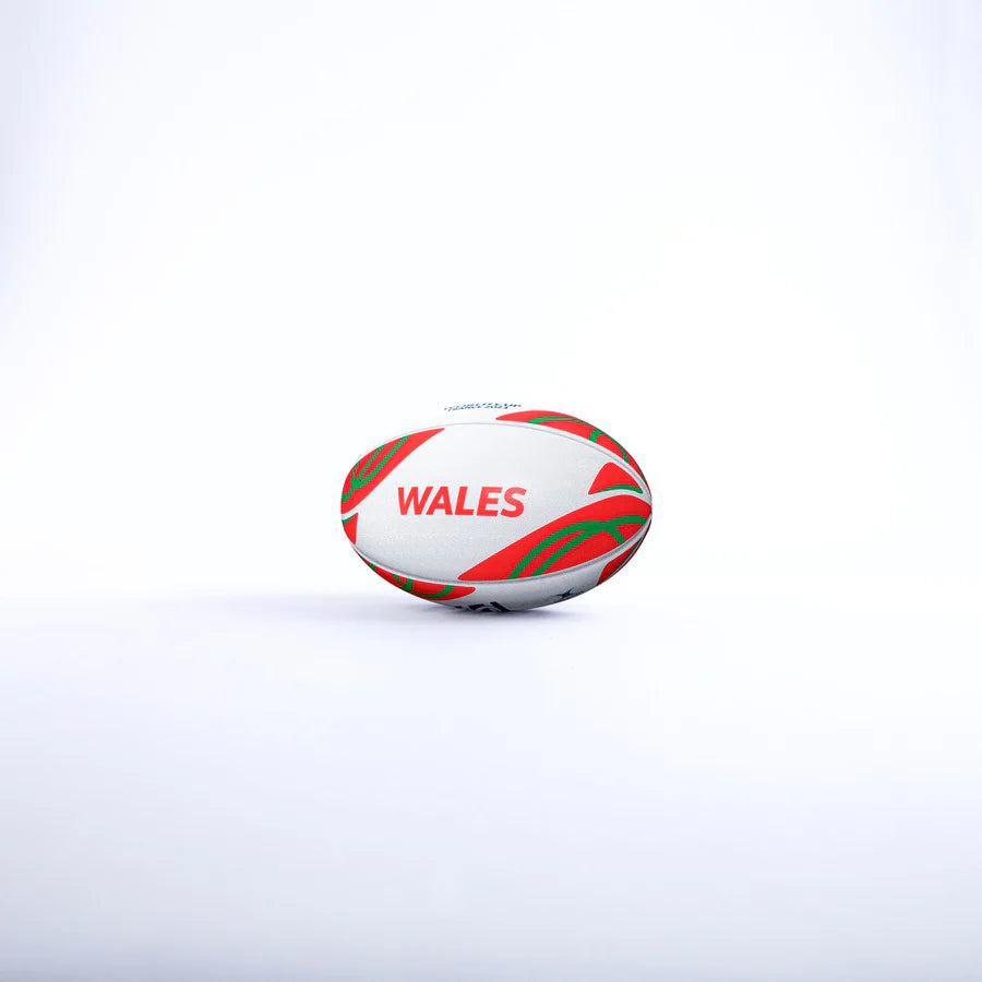 RWC 2023 Wales Supporter